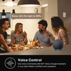 Interrupteur Intelligent Kasa HS200P3 Wi-Fi Compatible Alexa