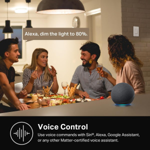 Interrupteur Intelligent Kasa HS200P3 Wi-Fi Compatible Alexa