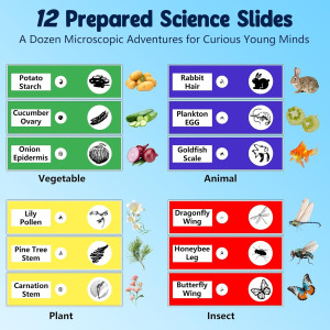 Microscope Portable 1000X 4K pour Enfants avec Écran 2.4