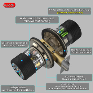 Serrure Intelligente Clavier 50 Codes Étanche Noir Mat Mat