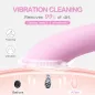 Brosse Nettoyante Visage PRITECH Rechargeable Silicone avec Massage Chauffant Vibrant Étanche Rose