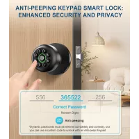 Serrure de porte biométrique à empreinte digitale avec clavier, contrôle app, auto-verrouillage, noir mat