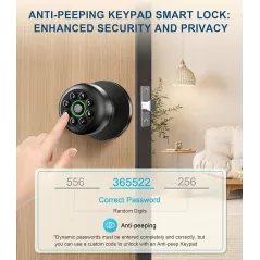 Serrure de porte biométrique à empreinte digitale avec clavier, contrôle app, auto-verrouillage, noir mat