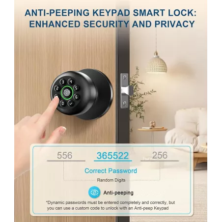 Serrure de porte biométrique à empreinte digitale avec clavier, contrôle app, auto-verrouillage, noir mat