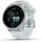 Garmin Forerunner 570 42mm Montre GPS Triathlon AMOLED Bleu Aluminium avec Bracelet Whitestone/Cloud Blue