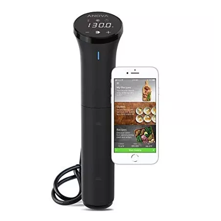 Anova Nano: Le Sous Vide Facile et Précis - Cuisine Gourmet à Portée de Main!