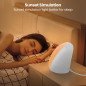 Lampe Soleil LASTAR 10 000 Lux, 4 Températures Couleur, 5 Intensités, Minuteur 1H, Contrôle Tactile