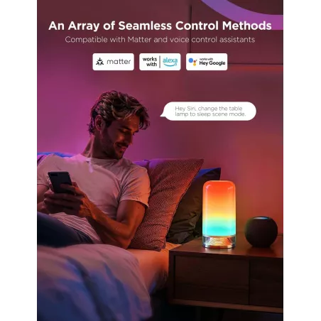 Lampe de Table Intelligente Govee RGBIC, 64 Modes, Compatible Matter et Alexa, Lumière d'Ambiance LED
