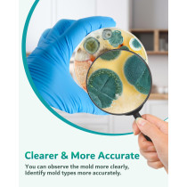 Mold Test Kit for Home – 8 Tests with Free Lab Analysis & Guide