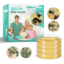 Kit Test Moisissure Maison : 4 Kits DIY Rapides avec Guide