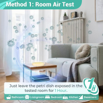 Mold Test Kit for Home: 4 DIY Kits for Fast Surface & Air Detection