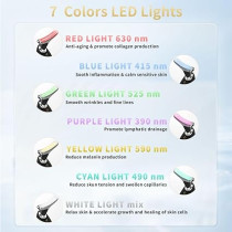 Appareil Beauté Visage Multifonction avec LED et Vibration