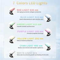 Multifunctional Facial Beauty Device with LED Light & Vibration for Skin