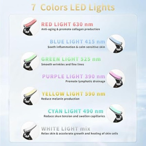 Appareil Beauté Visage Multifonction avec LED et Vibration