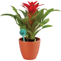 4-Piece Colorful Hand-Blown Glass Watering Globe Set for Plants