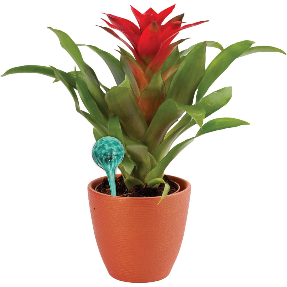 4-Piece Colorful Hand-Blown Glass Watering Globe Set for Plants