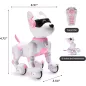 Top Race Robot Chien Rose Télécommandé - Jouet Interactif avec Touches, Sons, Danses, Commandes Vocales, Dès 3 ans