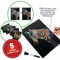 Abacus VR Animaux : Coffret Cadeau Éducatif STEM 8+
