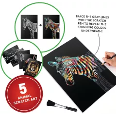 Abacus VR Animaux : Coffret Cadeau Éducatif STEM 8+