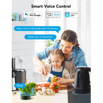 Govee Dual Smart Plug 4-Pack, WiFi & Bluetooth, Alexa & Google Ready