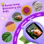 Microscope Portable Mini pour Enfants - Jouet Éducatif STEM Cadeau Anniversaire Noël Filles 5-12 Ans (Violet)