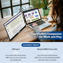 InnoView 15.6 Portable Monitor 1080P with Adjustable Stand & Sleeve