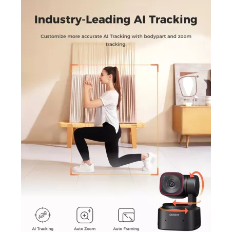 OBSBOT Tiny 2 Lite 4K Webcam AI Tracking HDR 60 FPS PC