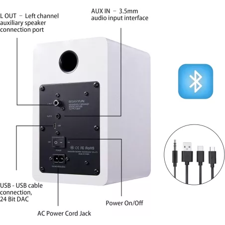 Sanyun SW208 Enceintes Bluetooth Actives 3 60W Blanc