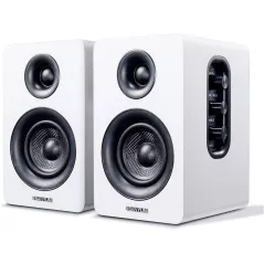 Sanyun SW208 Enceintes Bluetooth Actives 3 60W Blanc
