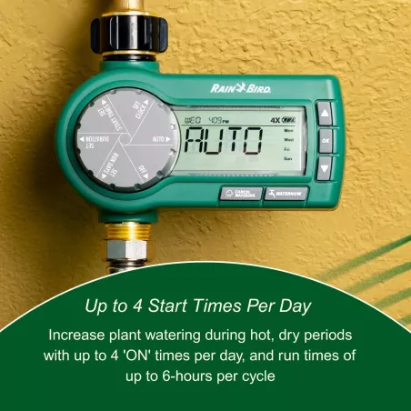Rain Bird 1ZEHTMRP Minuteur électronique premium pour arrosage, 1 zone, batterie, entrée/sortie en laiton
