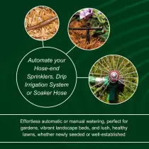 Rain Bird 1ZEHTMRP Digital Hose End Timer – Battery Operated, Brass Inlet