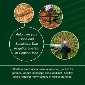 Rain Bird 1ZEHTMRP Digital Hose End Timer – Battery Operated, Brass Inlet