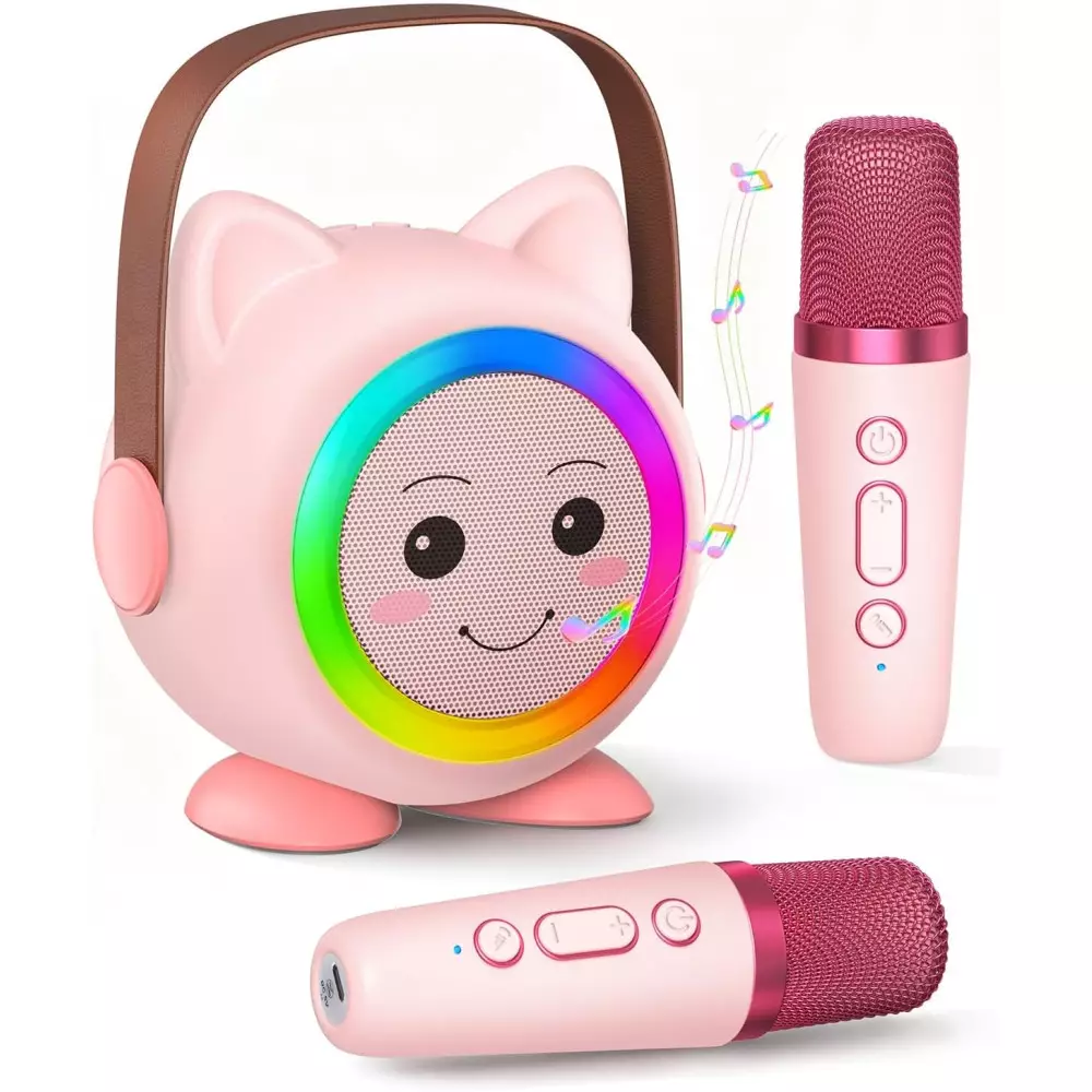 Mini Karaoké Enfant Portable avec 2 Micros Sans Fil Rose