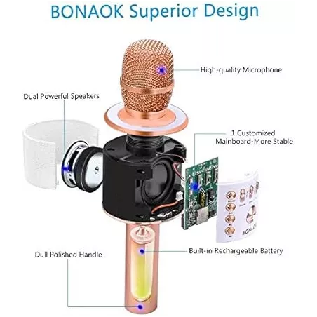 Micro Karaoké Bluetooth BONAOK 3-en-1 Rose Gold Portable