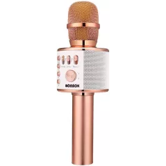 Micro Karaoké Bluetooth BONAOK 3-en-1 Rose Gold Portable