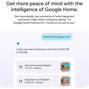 Google Nest Cam Indoor 3e Gén. 2K, Vision Nocturne & Audio