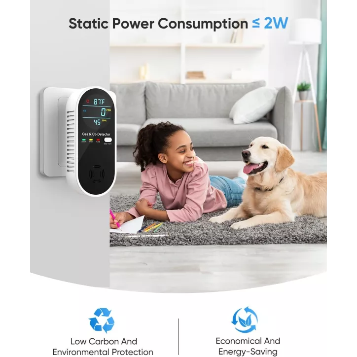 4-in-1 Carbon Monoxide & Natural Gas Detector with Dual Alarms, Temp & Humidity Sensor, 2-Pack, Black