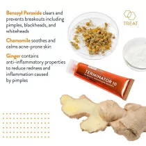 AcneFree Terminator 10% Benzoyl Peroxide - Crème Anti-Acné