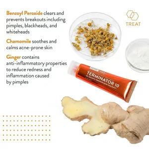 AcneFree Terminator 10% Benzoyl Peroxide Acne Spot Treatment Cream 1oz