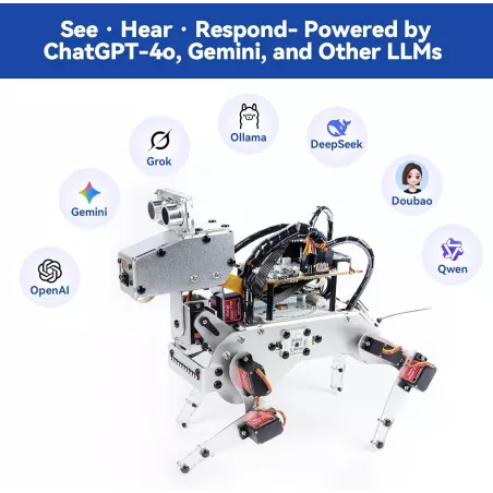 Kit Robot AI SunFounder Raspberry Pi Zero 2 W - Commande Vocale