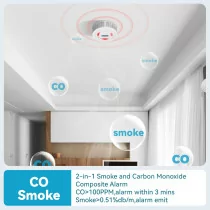 2-in-1 Smoke & Carbon Monoxide Alarm with Digital Display & Sound Light