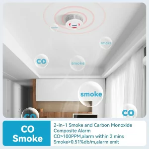 2-in-1 Smoke & Carbon Monoxide Alarm with Digital Display & Sound Light