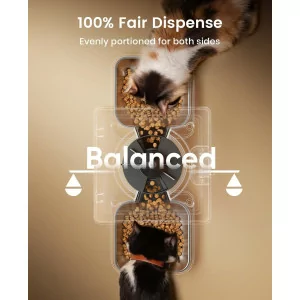 oneisall Automatic Cat Feeder for 2 Cats - 20 Cups Dry Food Dispenser