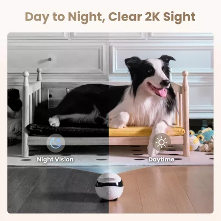 Enabot EBO Air 2 FamilyBot Caméra de Sécurité Intérieure 2K Robot Mobile Vision Nocturne Parlé