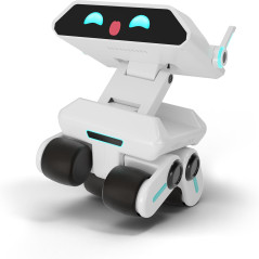 AI Companion Robot with Emotion Recognition & Smart Interactive Features