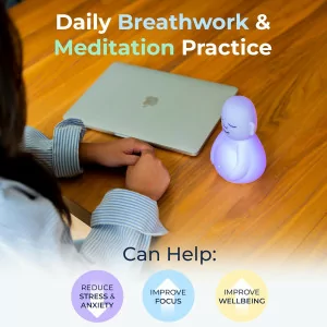 Mindsight Breathing Buddha: Guided Meditation for Stress & Anxiety Relief
