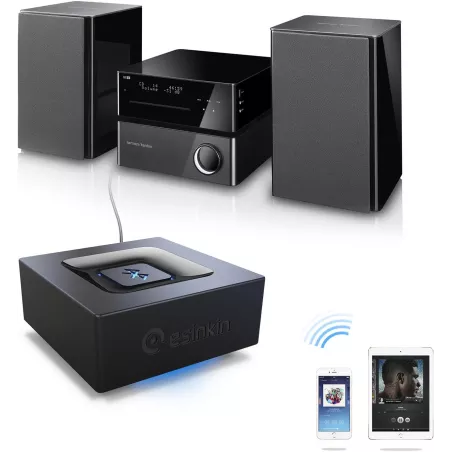 Adaptateur Bluetooth Audio Esinkin pour Streaming & Home Stereo