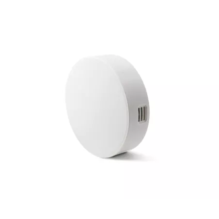 Inkbird IBS-TH1: Thermomètre Hygromètre Bluetooth - Surveillance Précise de lEnvironnement