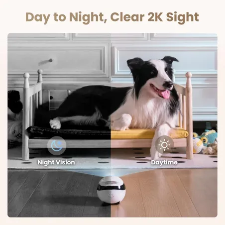 Enabot EBO Air 2 : Caméra Sécurité 2K Mobile pour Animaux