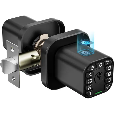 Richelock Poignée de porte biométrique avec clavier, entrée sans clé, étanche, verouillage auto, noir mat